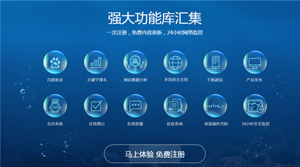 企業(yè)網(wǎng)站建設(shè)與后期維護(hù) 構(gòu)建持續(xù)在線(xiàn)的商業(yè)門(mén)戶(hù)
